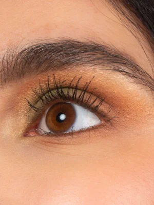 La palette de 4 fards à paupières BIO – Vegetal