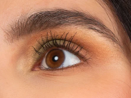 La palette de 4 fards à paupières BIO – Vegetal