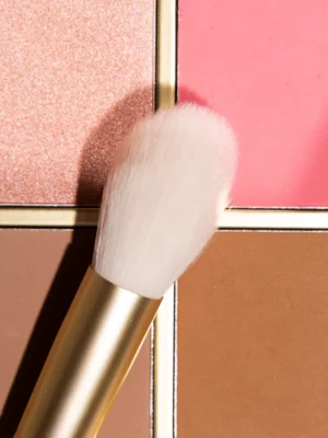 le pinceau bonne mine